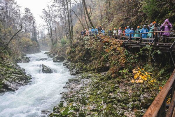 VIP visit to Vintgar Gorge foto Nik Bertoncelj