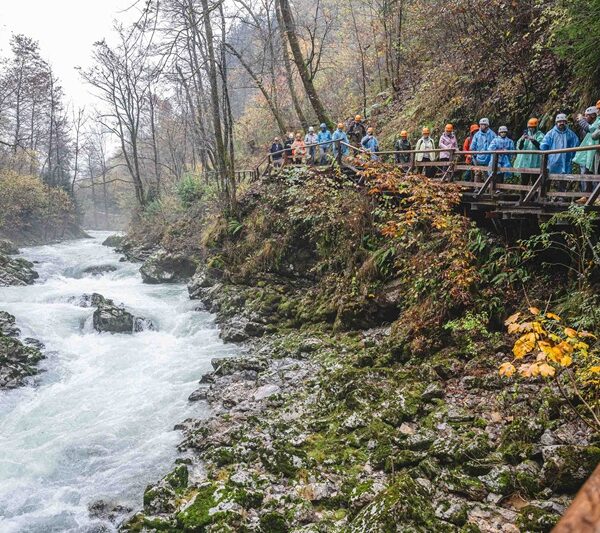 VIP visit to Vintgar Gorge foto Nik Bertoncelj